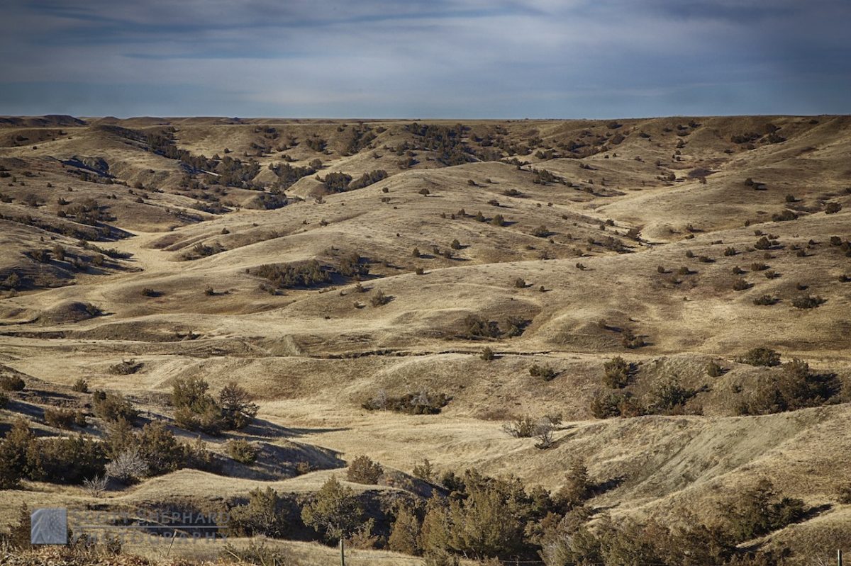03-14-14 Beyond Wasta, SD