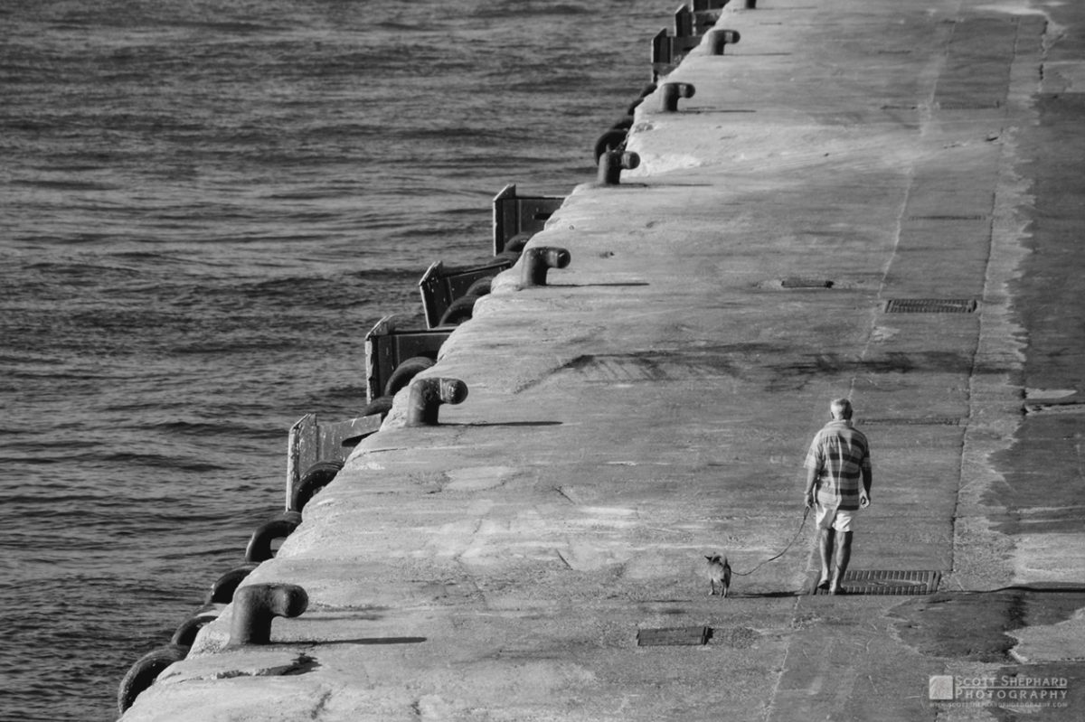 03-23-14 Walking the Dog (2004)