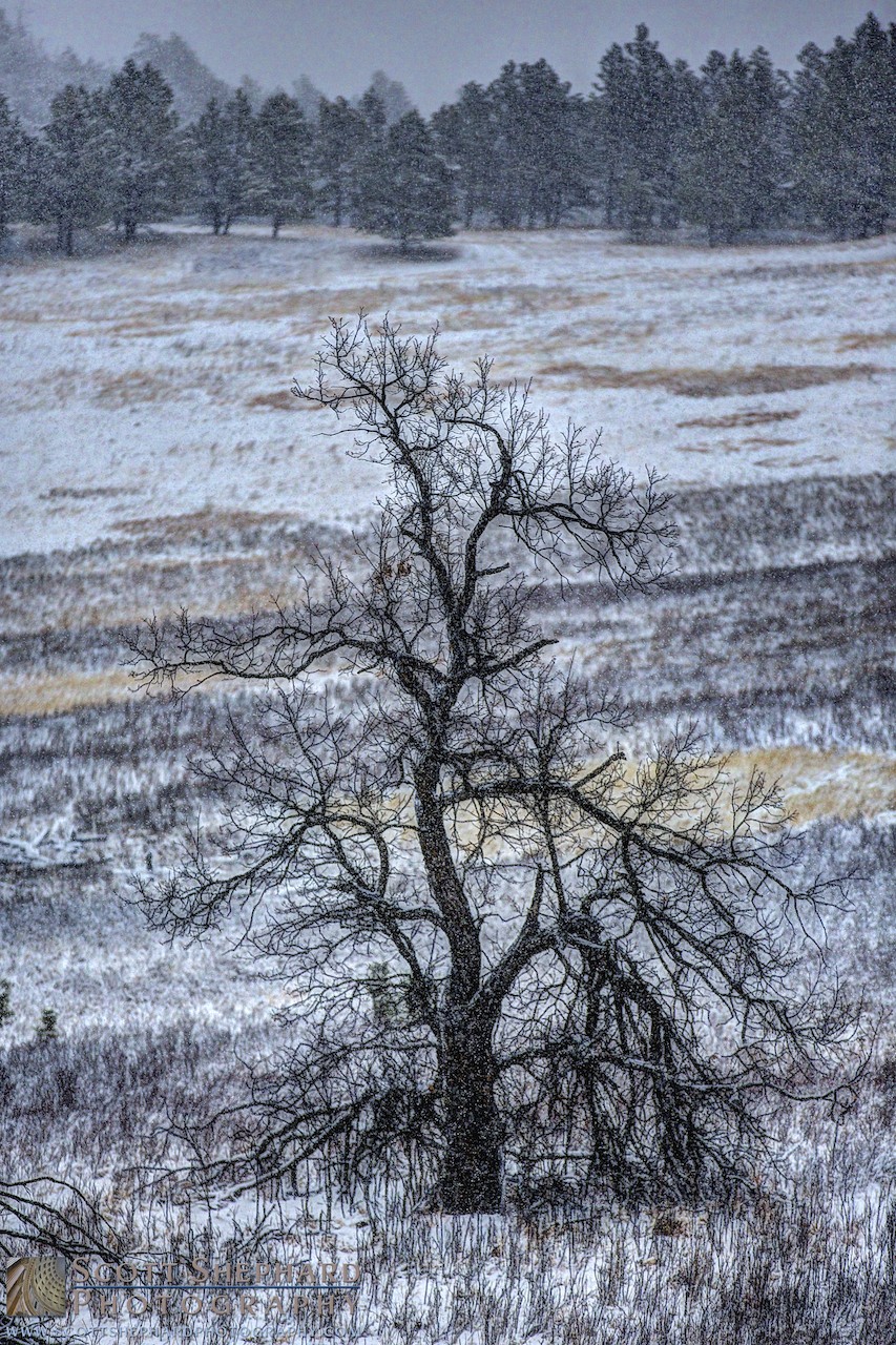 03-25-14 Weathered (HDR)
