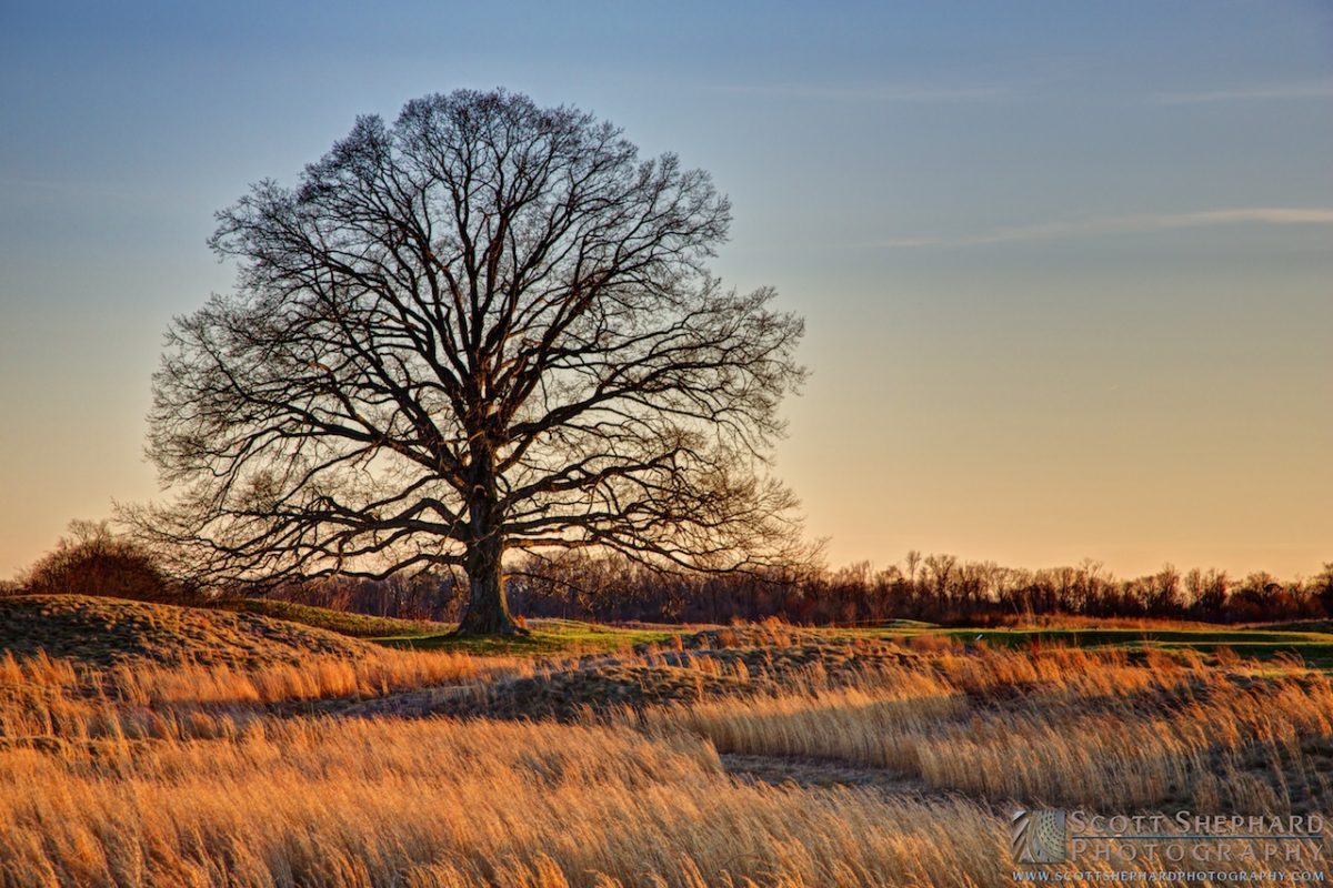 04-01-14 The Golden Hour (HDR)