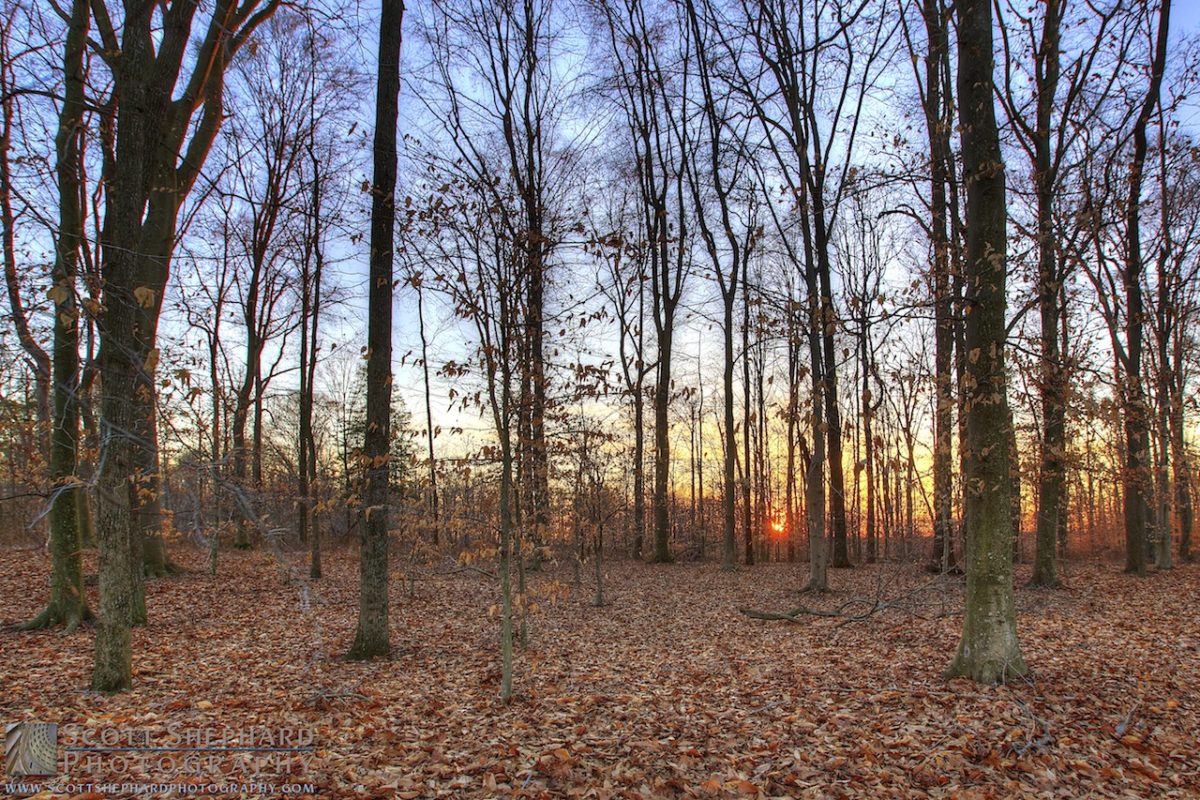 04-05-14 The Dimming of the Day