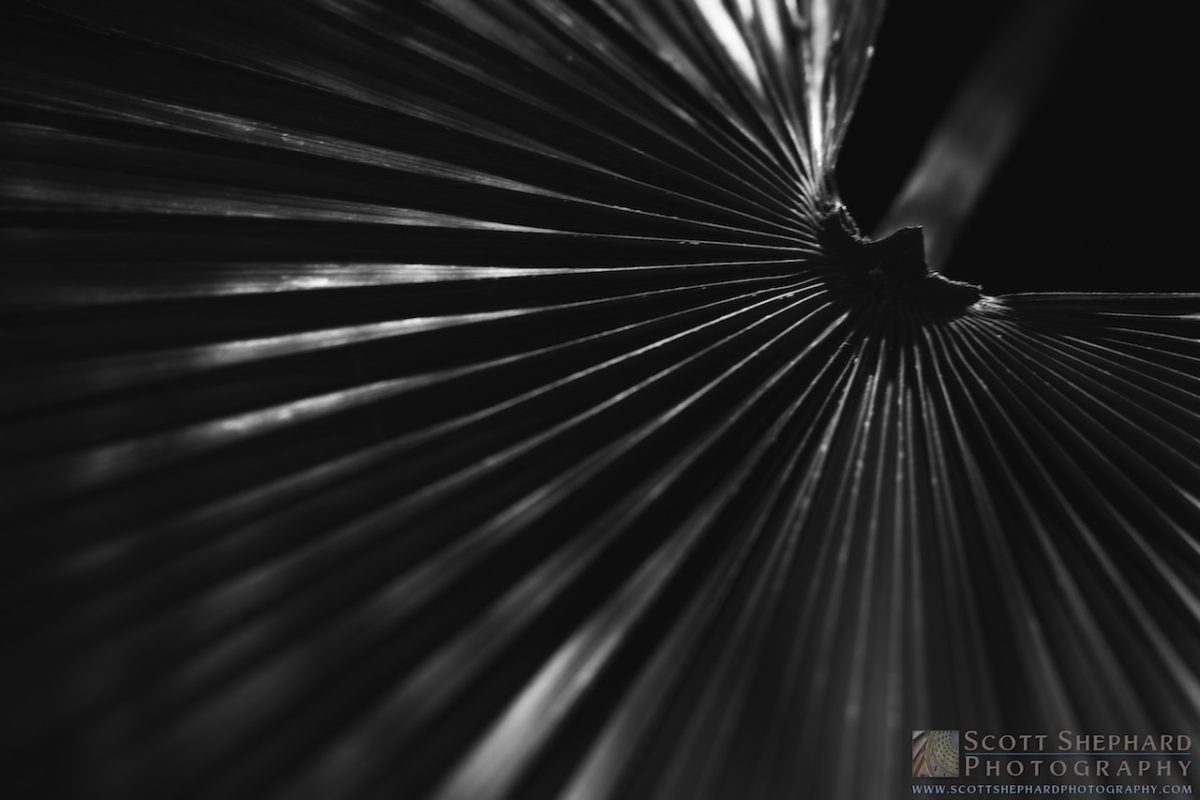 04-11-14 Light and Lines